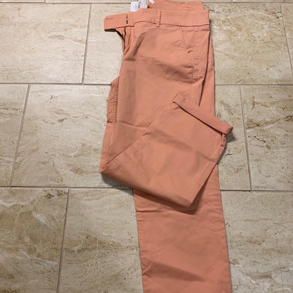Loft Capri Pant.